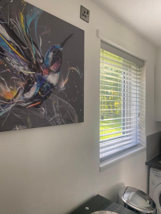 Cosy Studio Apartment Waterlooville Esterno foto